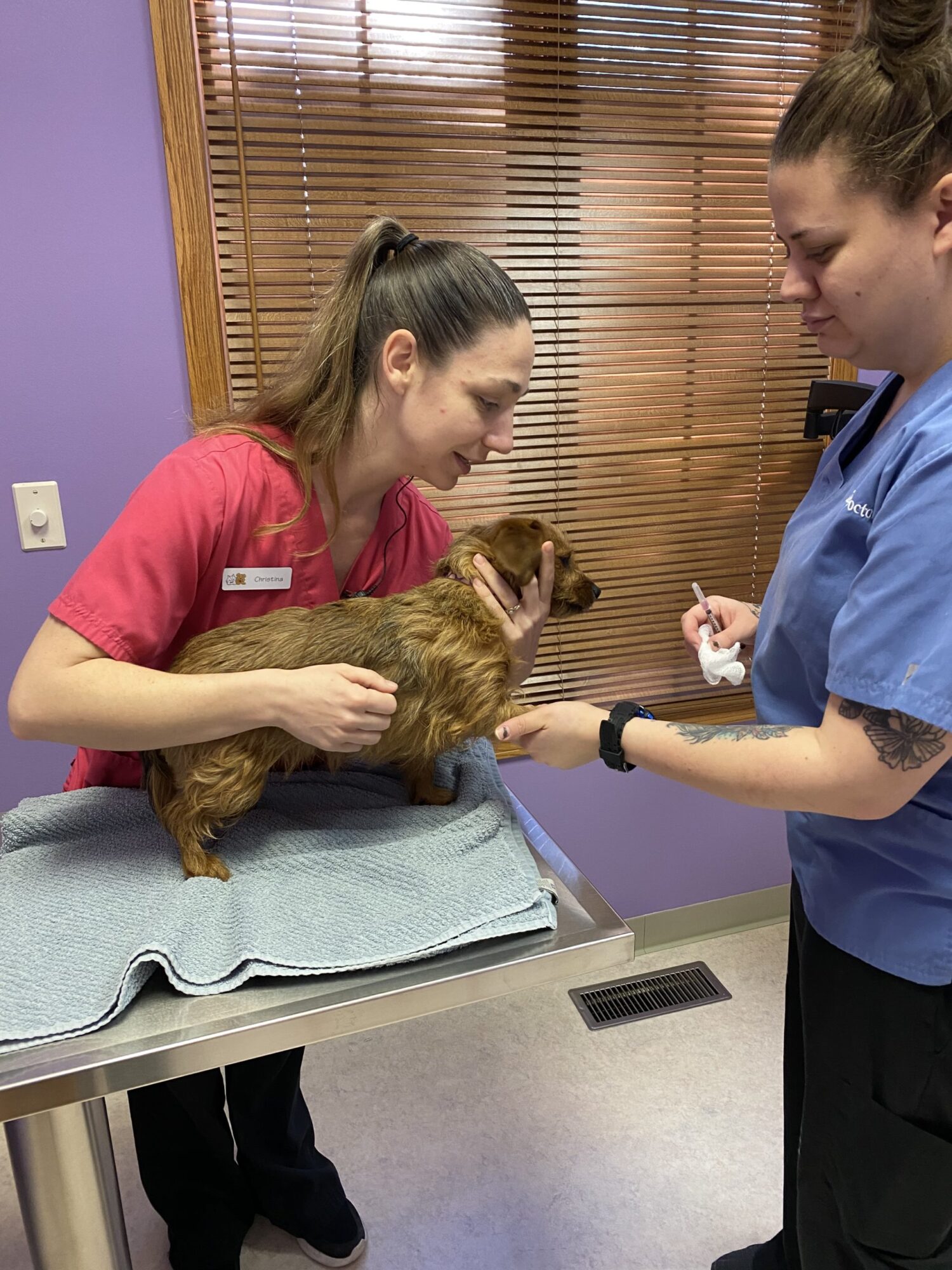 While optional, our staff encourages you to do Heartworm and Tick Disease Testing, which requires pulling blood to check for intestinal parasites.