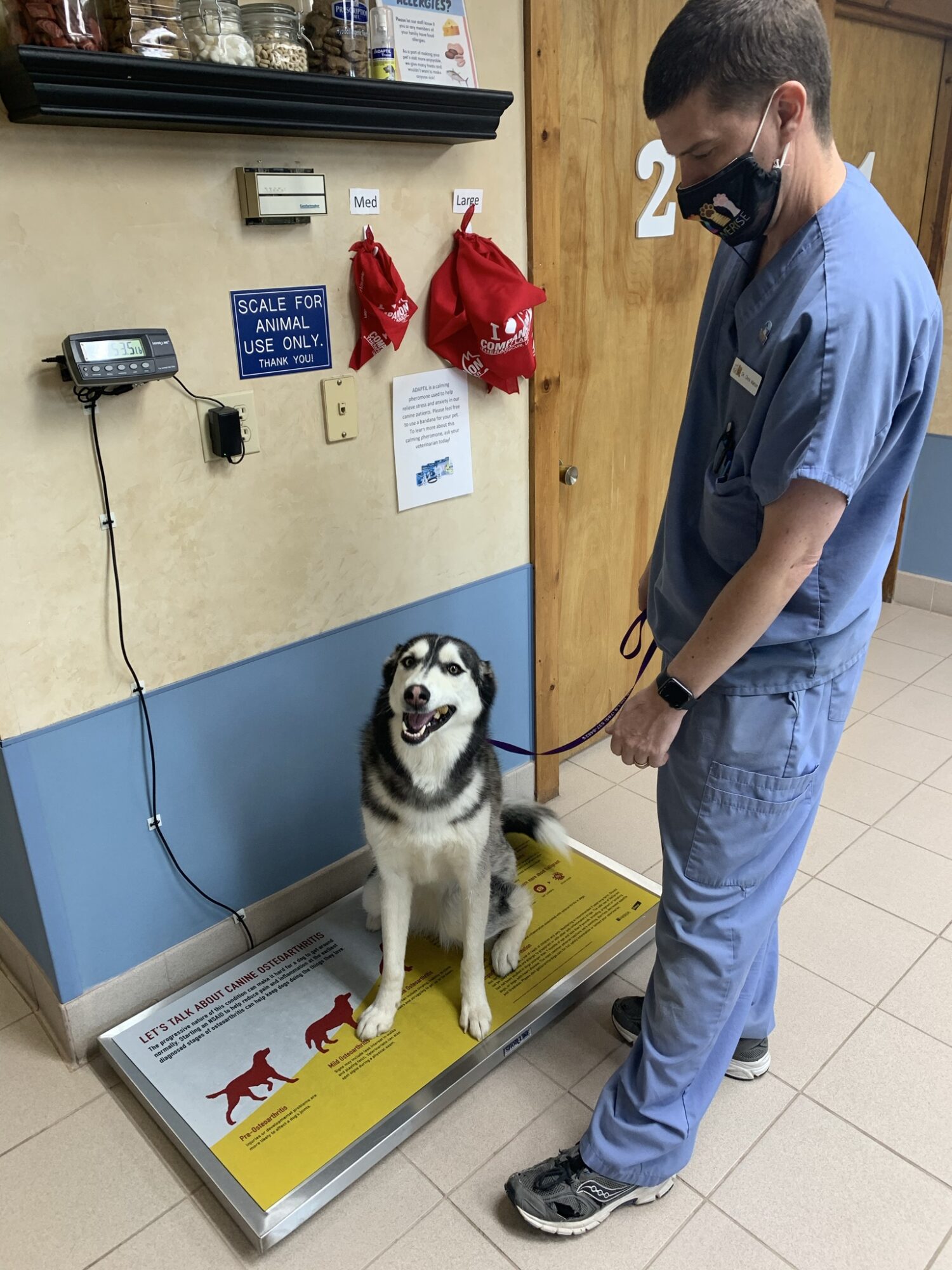 First, our staff will place your pet on the scale to get an accurate weight.
