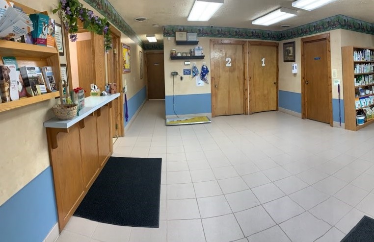 After entering both doors, you will find yourself with this view of our facility. Directly to the left takes you to the receptionist desk where you will check in. To the right will be the waiting room.